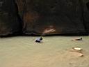 081_zion.jpg